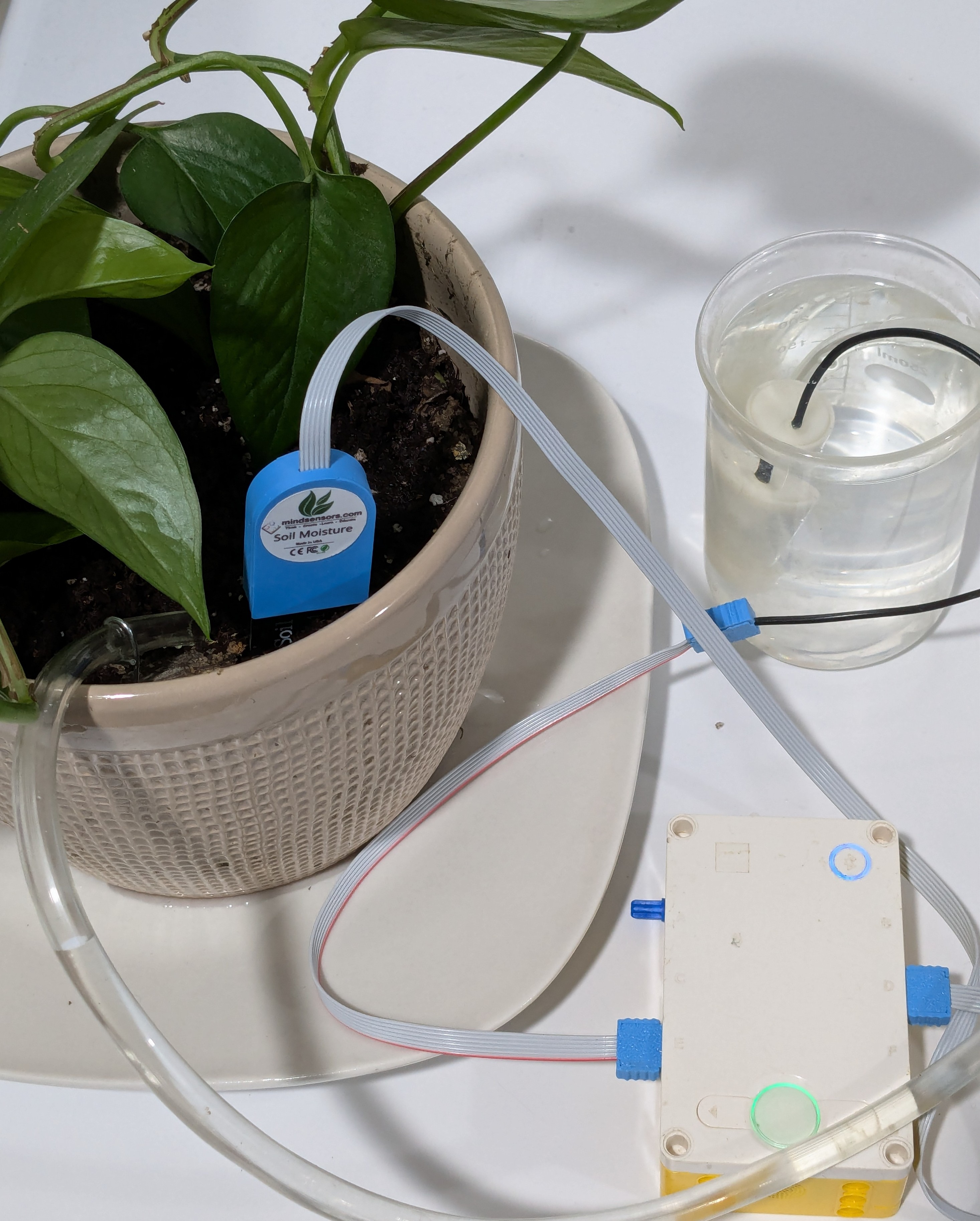 How to Measure Soil Moisture and Use It in Automatic Plant Watering Systems