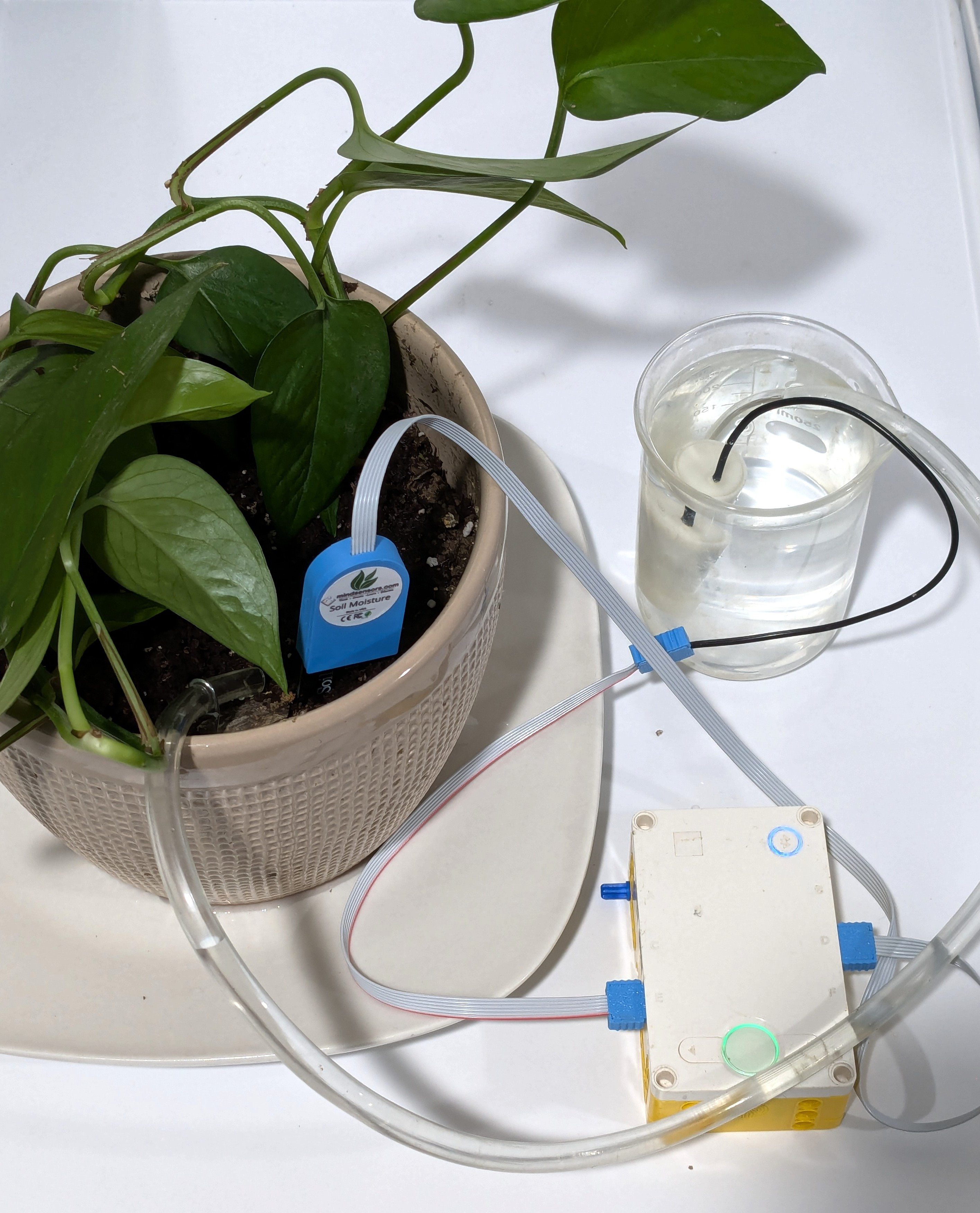 How to Measure Soil Moisture and Use It in Automatic Plant Watering Systems